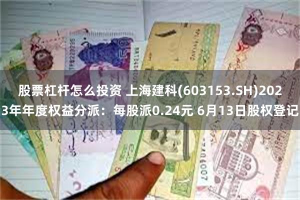 股票杠杆怎么投资 上海建科(603153.SH)2023年年度权益分派：每股派0.24元 6月13日股权登记