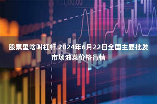 股票里啥叫杠杆 2024年6月22日全国主要批发市场油菜价格行情