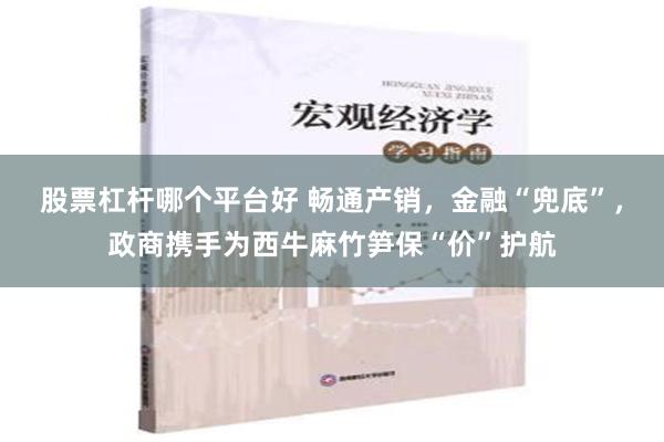 股票杠杆哪个平台好 畅通产销，金融“兜底”，政商携手为西牛麻竹笋保“价”护航