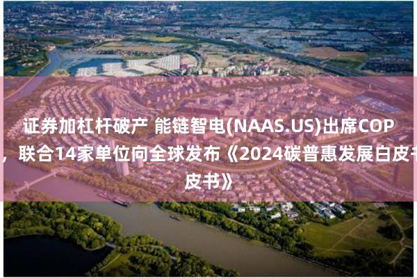 证券加杠杆破产 能链智电(NAAS.US)出席COP29，联合14家单位向全球发布《2024碳普惠发展白皮书》