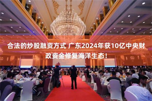 合法的炒股融资方式 广东2024年获10亿中央财政资金修复海洋生态！