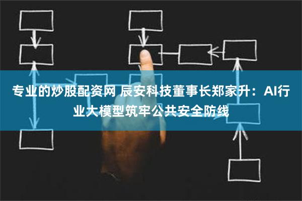 专业的炒股配资网 辰安科技董事长郑家升：AI行业大模型筑牢公共安全防线