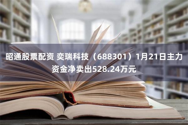 昭通股票配资 奕瑞科技（688301）1月21日主力资金净卖出528.24万元